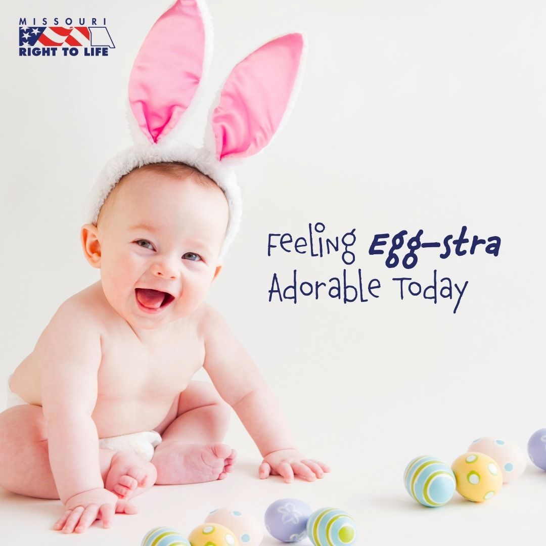 Missouri Right to Life tweet media