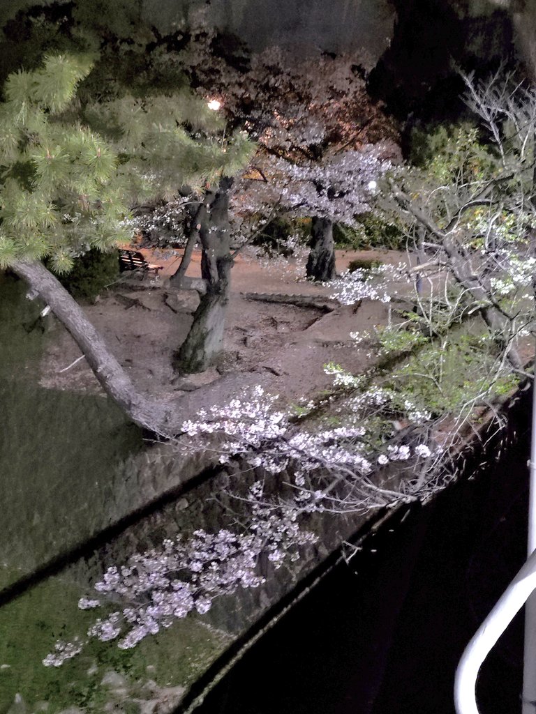 tomocococo tweet media