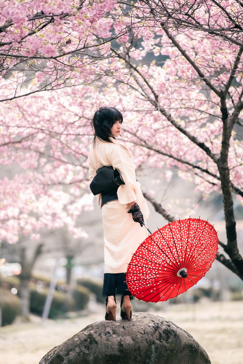 桜散ってもうた🥲