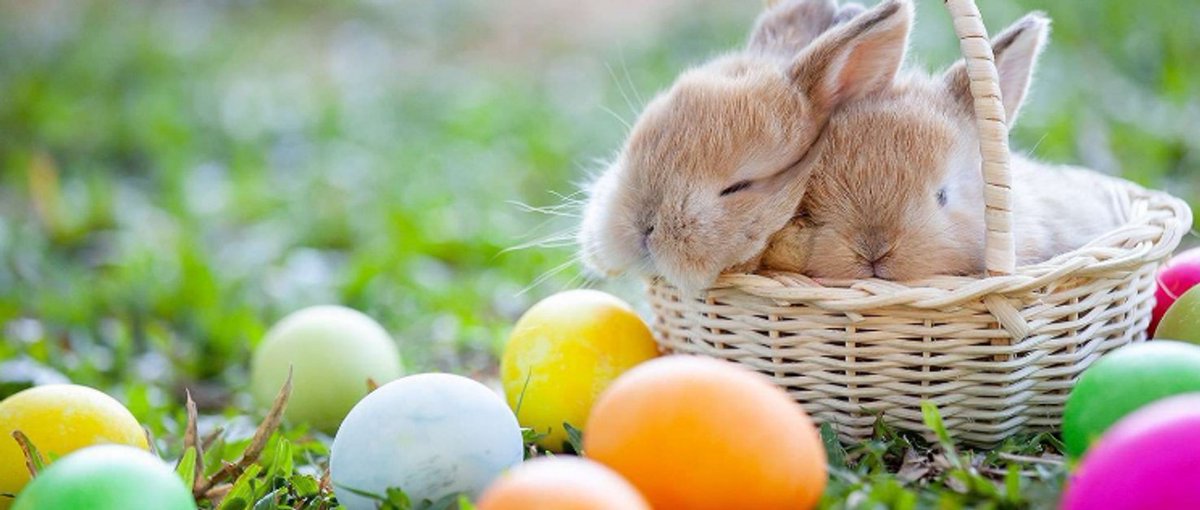 GSOTeamMS's tweet photo. Wishing you and your loved ones a joyful and peaceful Easter. May this season of renewal bring hapiness and fresh beginnings. https://t.co/CkioZw5WnG