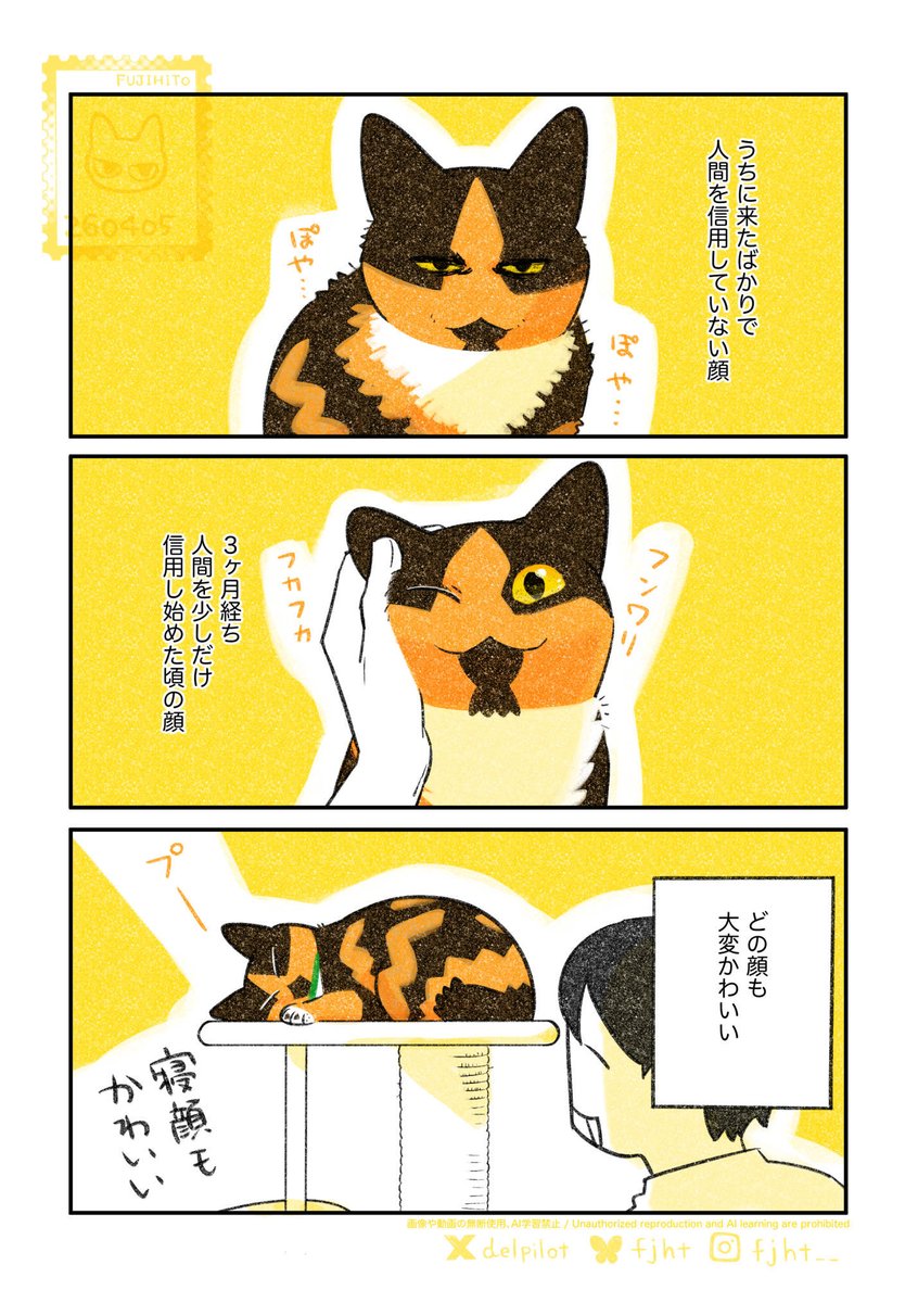 ふじひと🐾ひび猫5/20発売 tweet media
