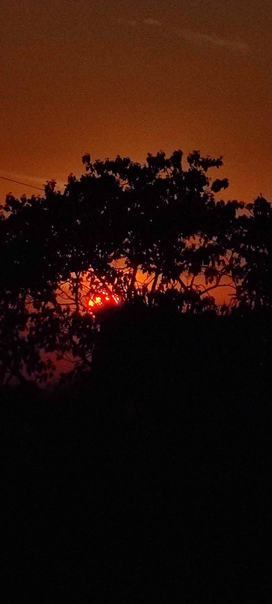 Nutan Barve tweet media