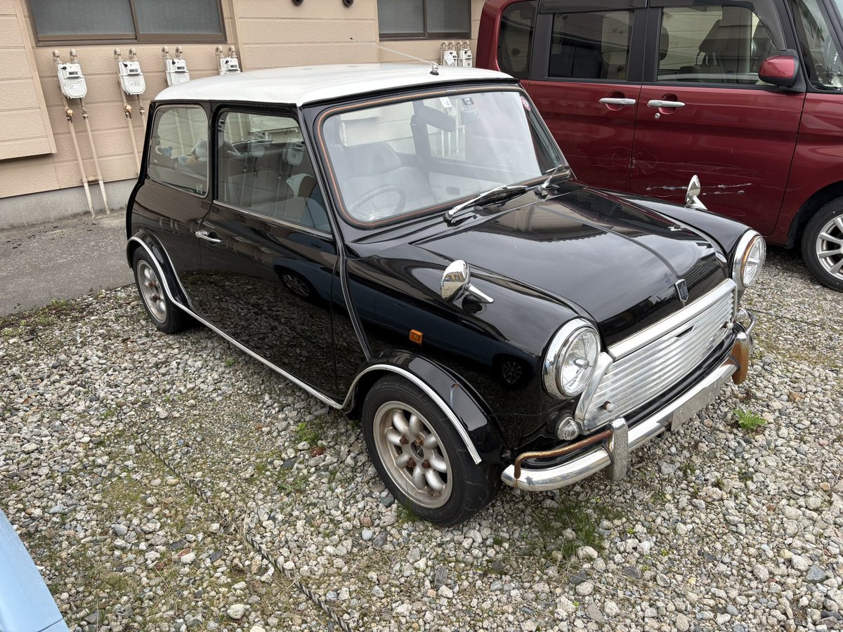 aegis3298's tweet photo. 1990年式ローバーミニ　
ジョンクーパー×ミニマルヤマのコンプリートカーです
ザビや塗装ハゲ有り
バッテリー死んでるため自走不可です
距離不明(センターメーターに交換されていたため)
リプに内装、エンジンルームの写真あります
詳細はDMまでお願いします。
#車売ります https://t.co/IuVd5groGw