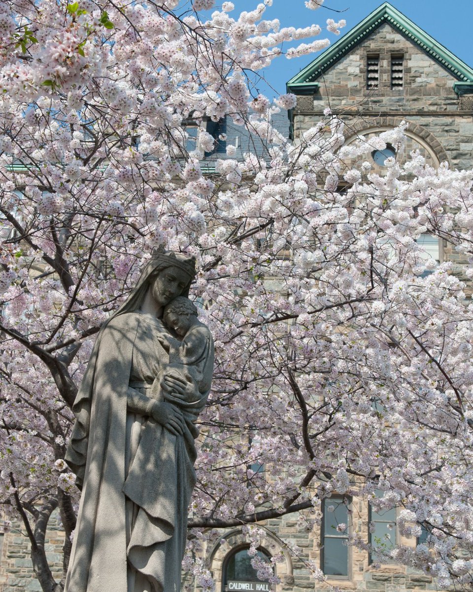 CatholicUniv's tweet photo. Wishing you happy Easter from your family here at Catholic University! https://t.co/ehqWZOWVTH