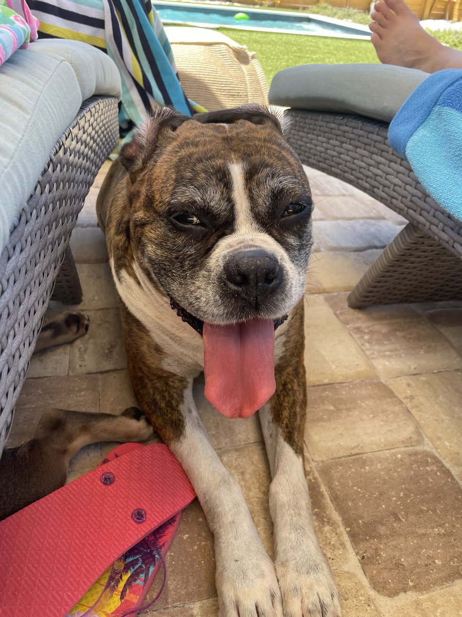 Hannah 💕⚾ tweet media