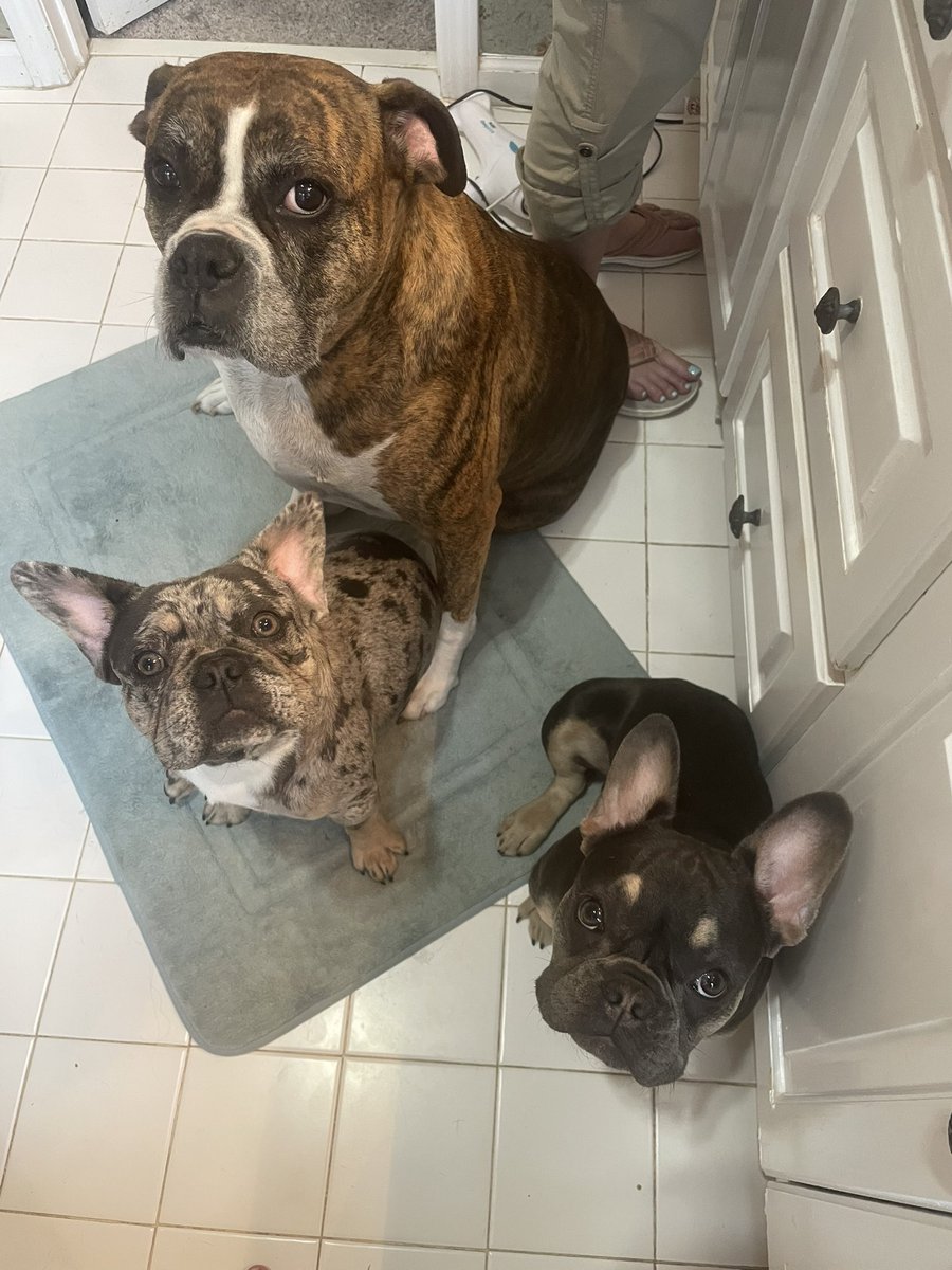 Hannah 💕⚾ tweet media