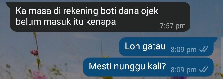 meii tweet media