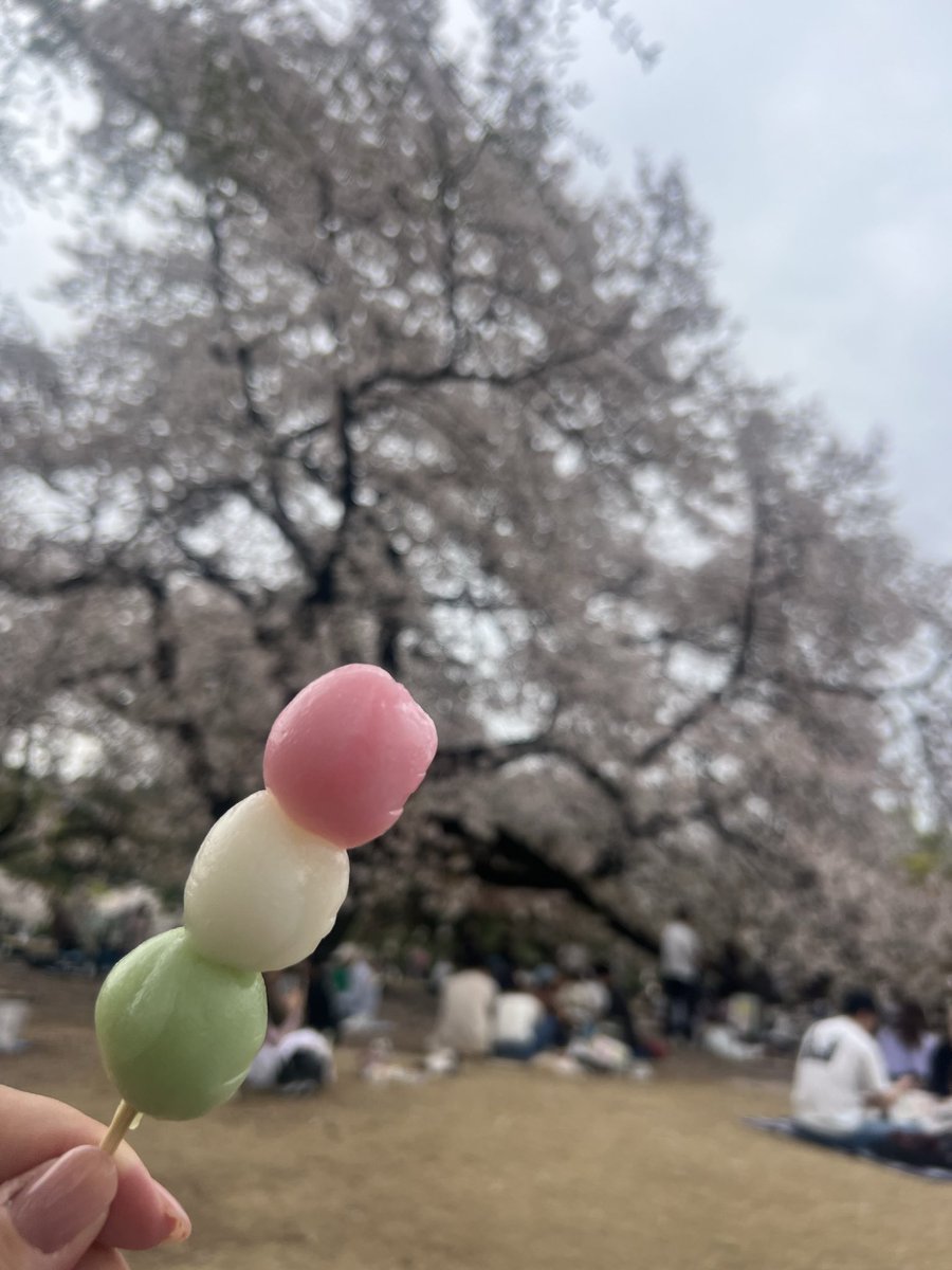 ayumi_dadada｜広報&中小企業診断士勉強中 tweet media