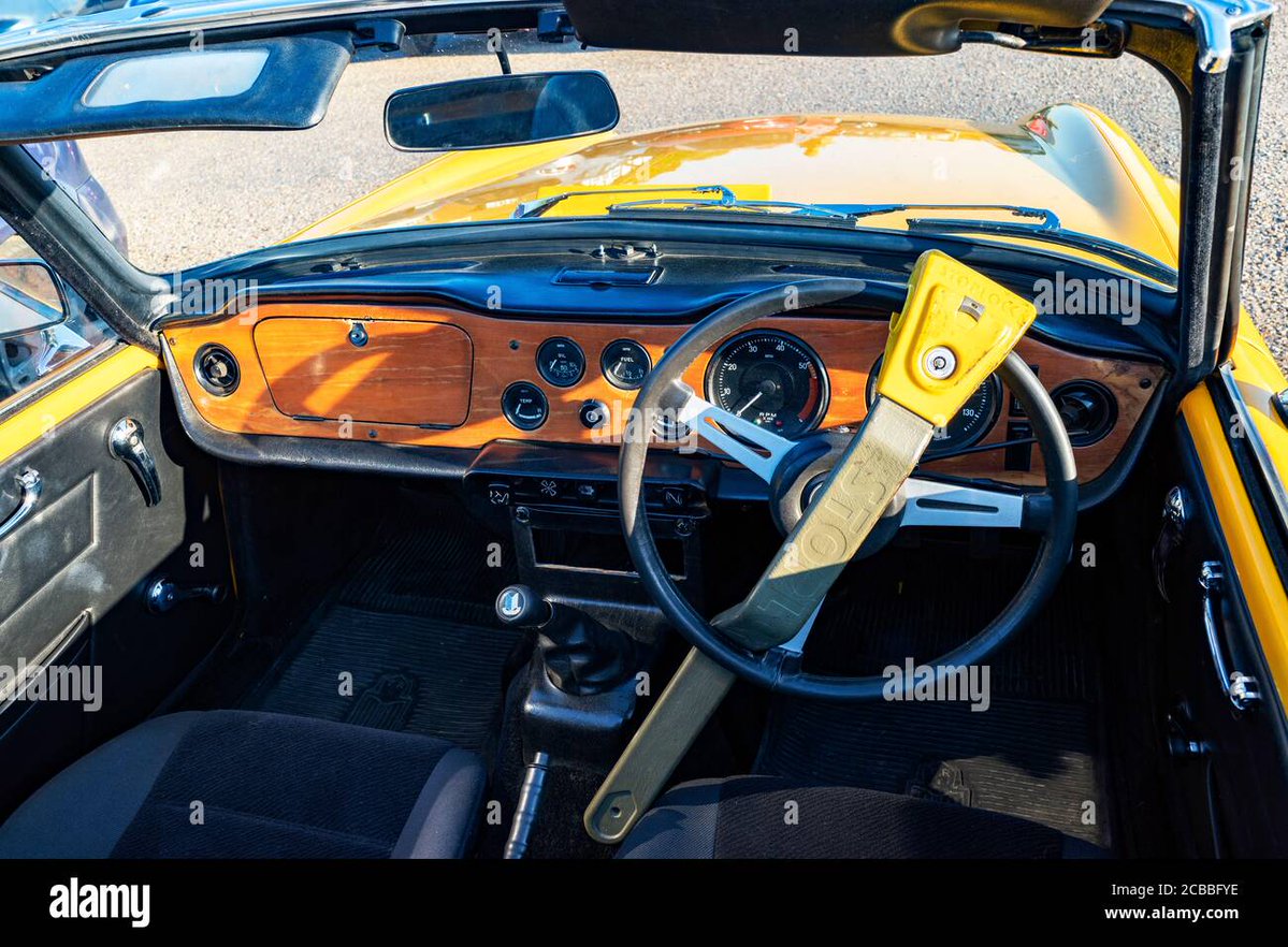 SuzieWong 🌹🍄🌲🌳☀️☔ tweet media