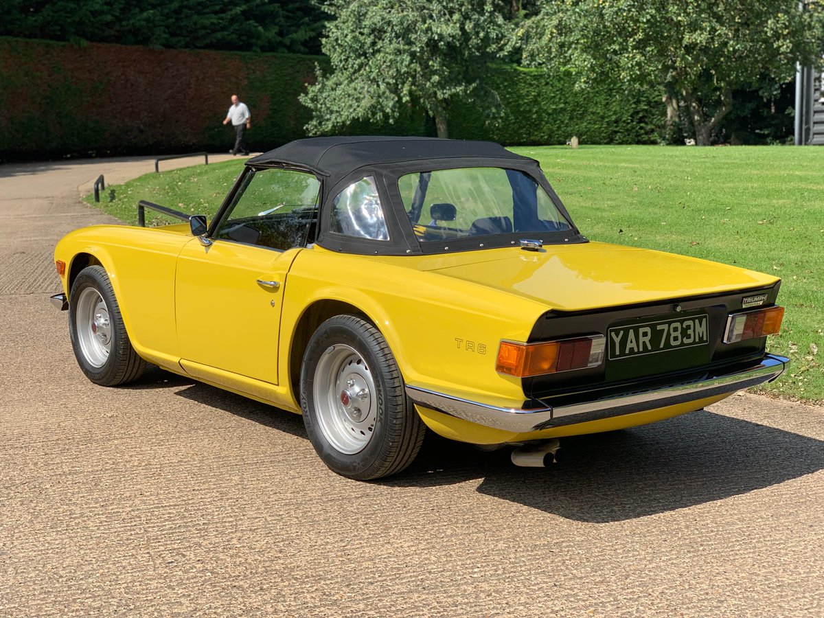 SuzieWong 🌹🍄🌲🌳☀️☔ tweet media