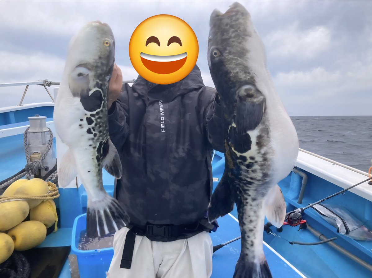 Nekoh釣具【公式】製品開発担当 tweet media