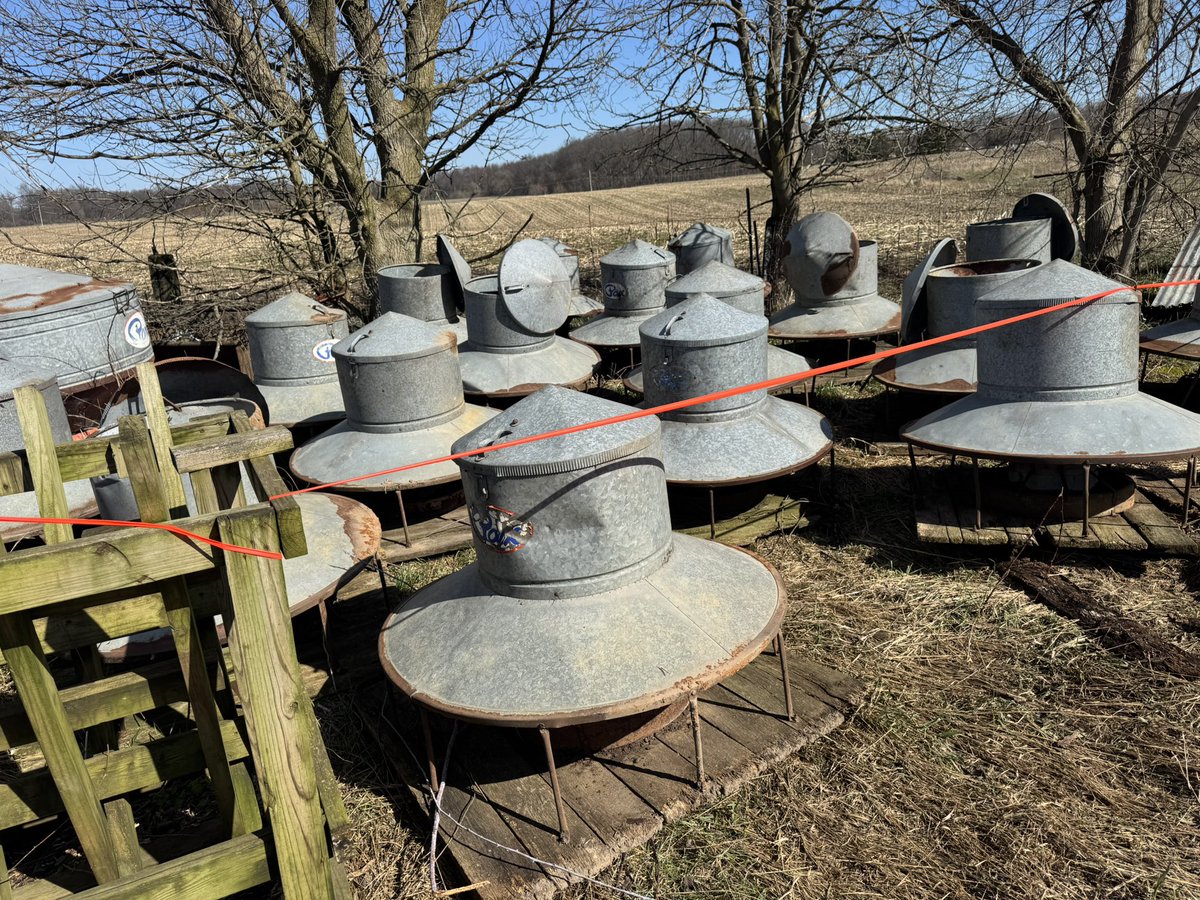 Greg Gunthorp tweet media