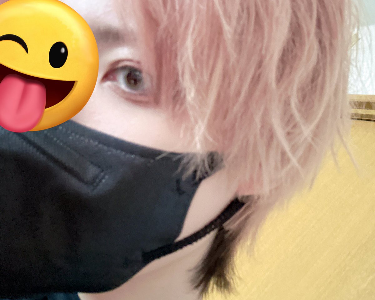 もふもふかのん💫 tweet media