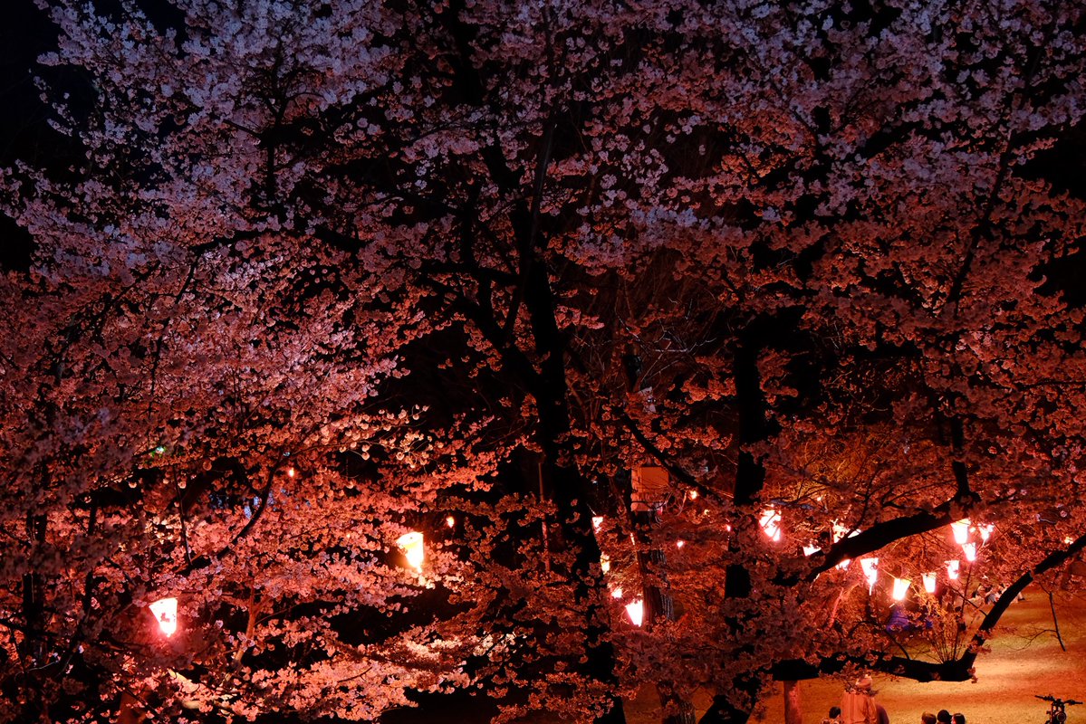 Kumi☆o tweet media