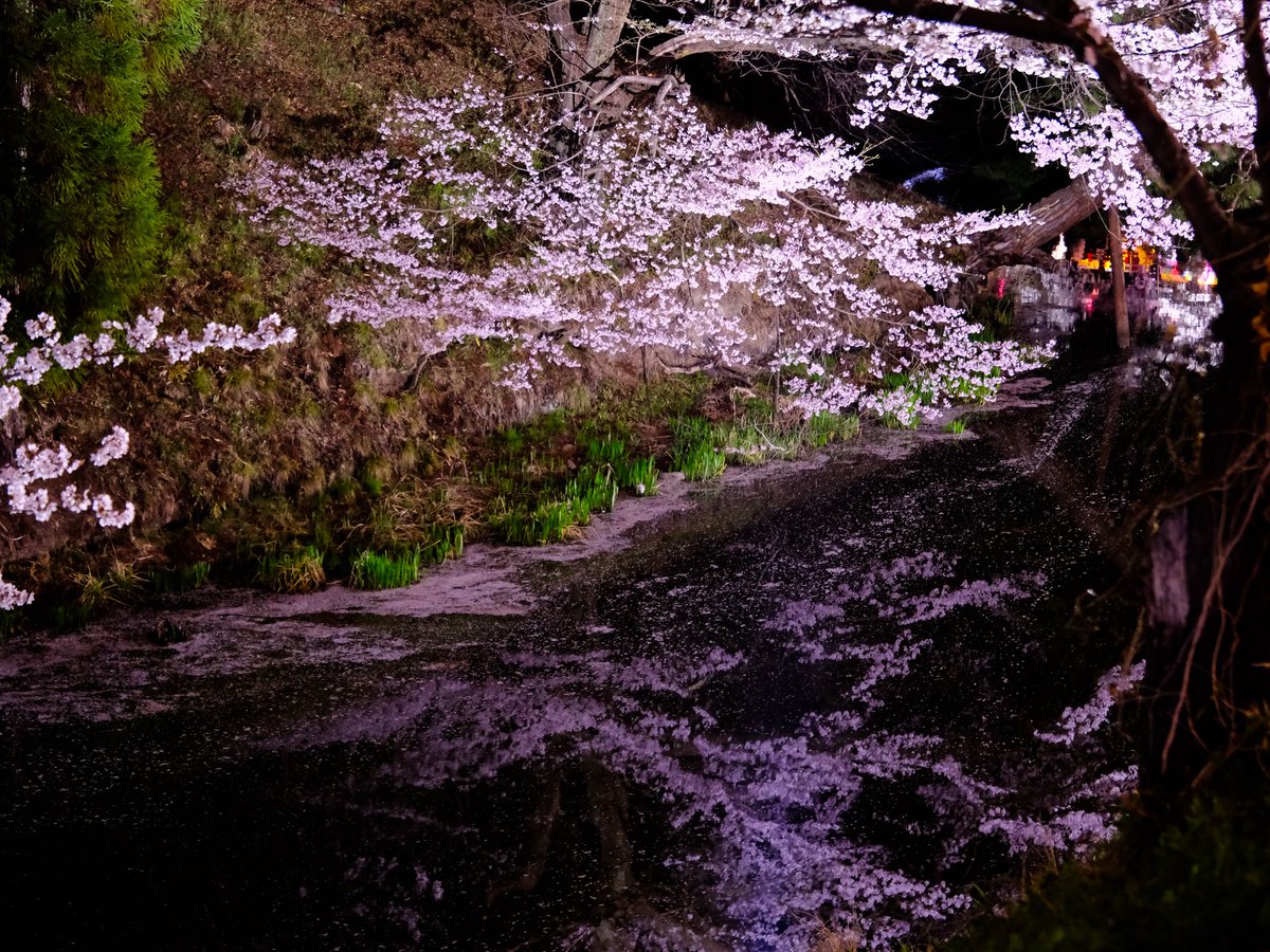 Kumi☆o tweet media