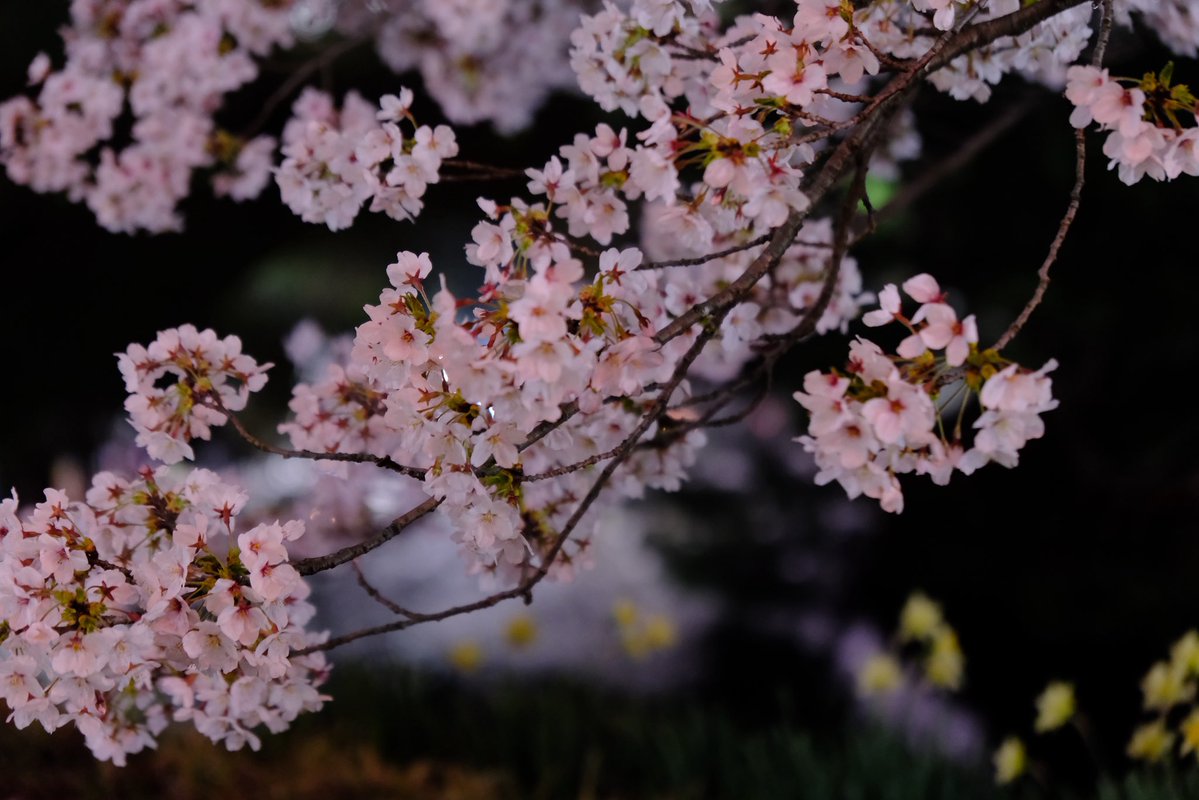 Kumi☆o tweet media