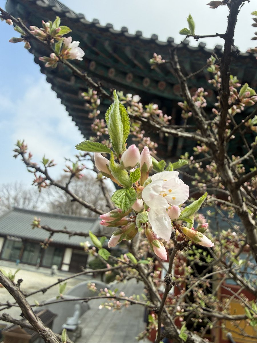 4월 이야기 tweet media