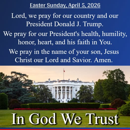 SaltyGoat tweet media