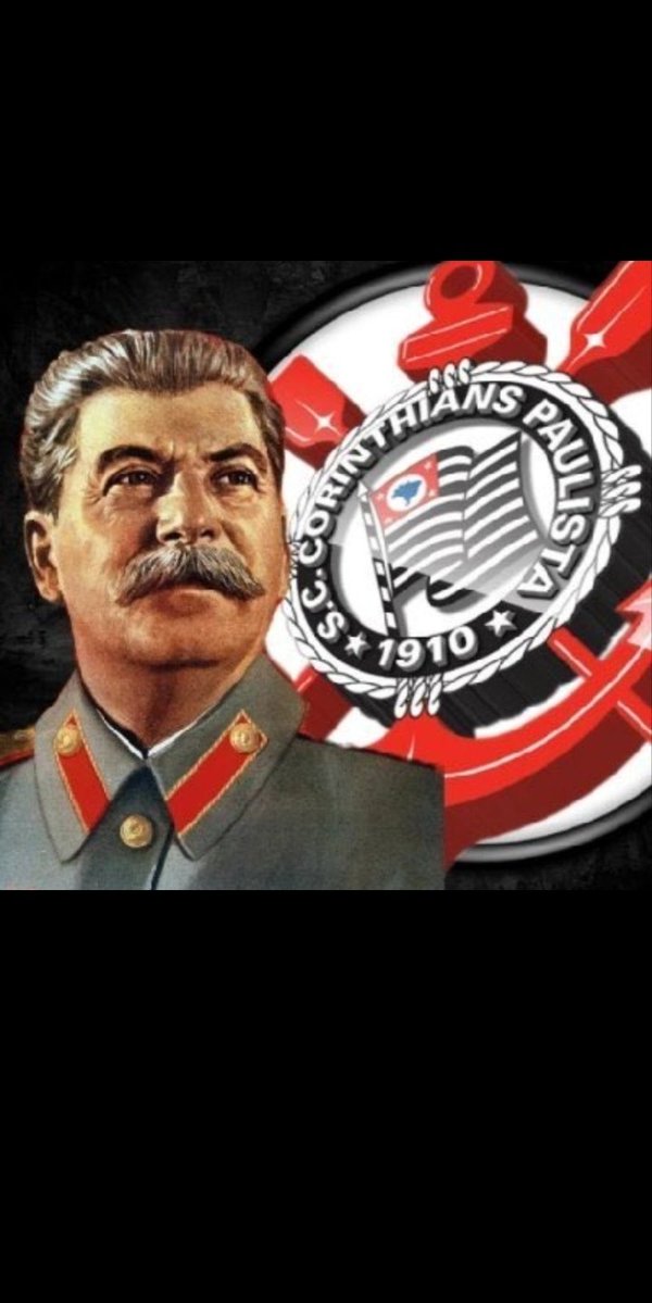 Vinícius Carlos Pavan tweet media