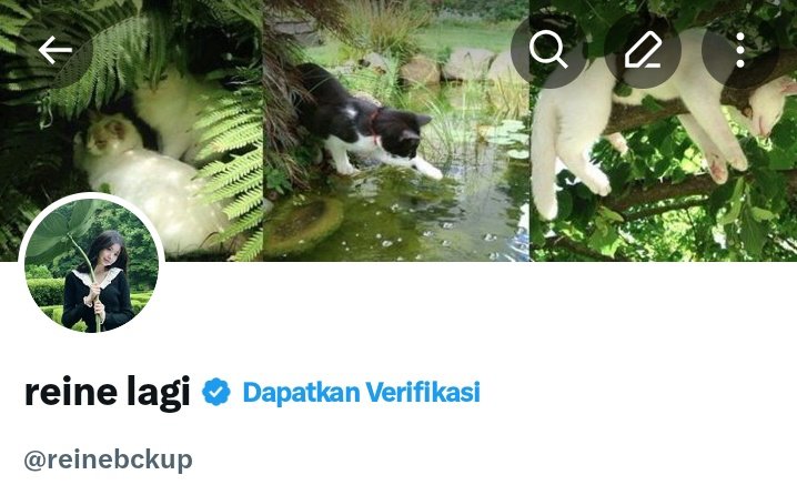 reine utama tweet media