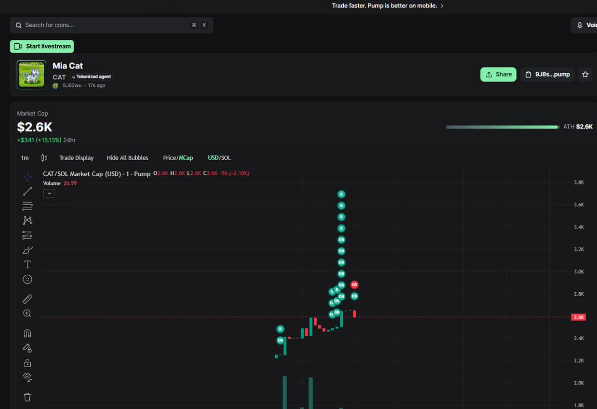 MIA 😺 tweet media