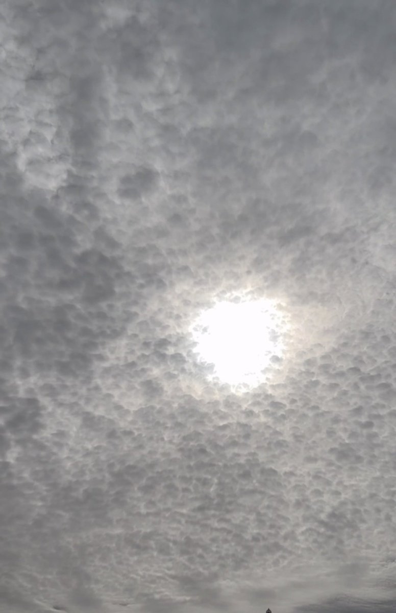 مردها بتزين tweet media