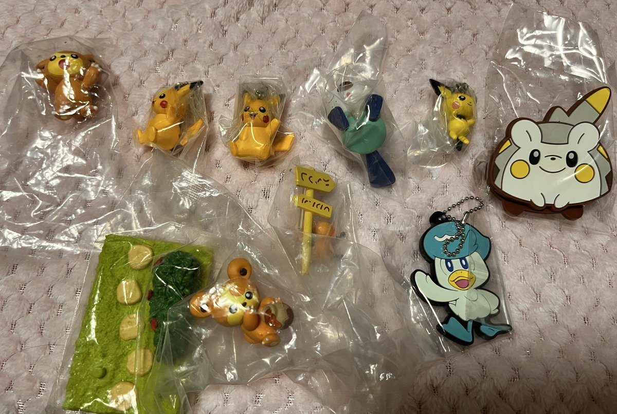 ぽちっこ⚾ tweet media