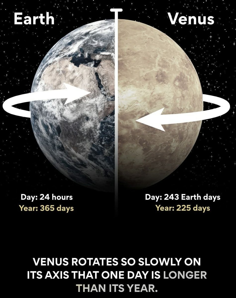 Black Hole tweet media