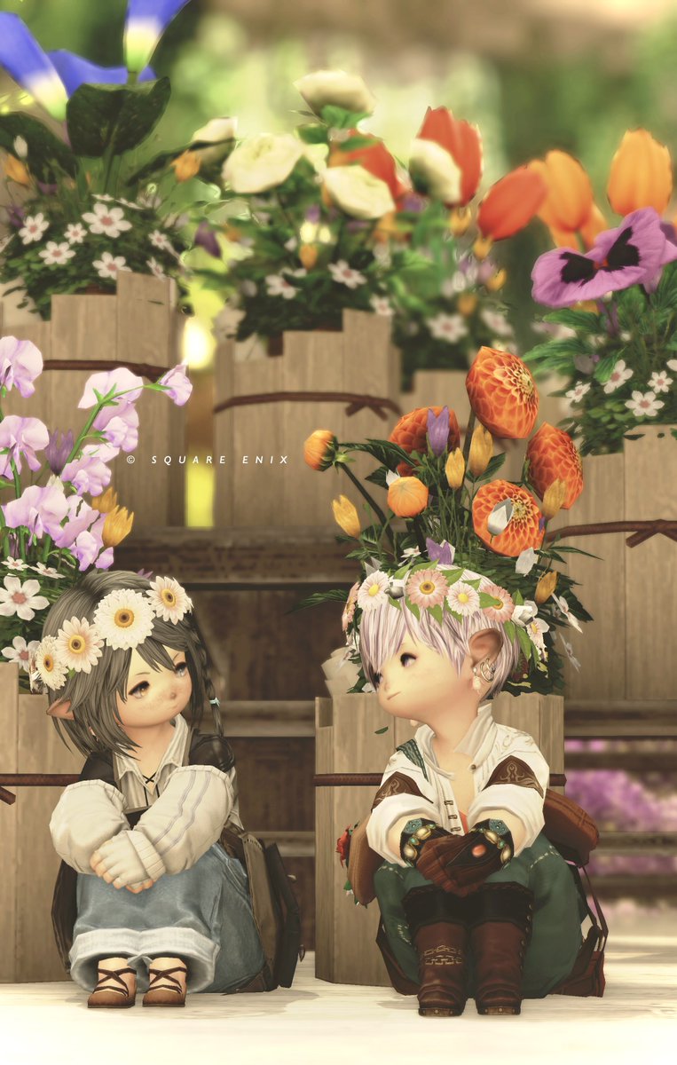 ティト tweet media