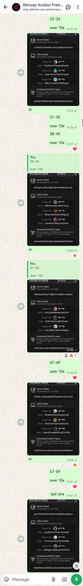 that airplane guy tweet media