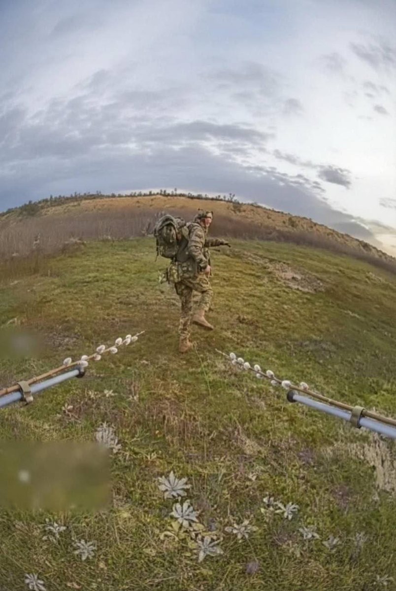 Регіоналіті tweet media