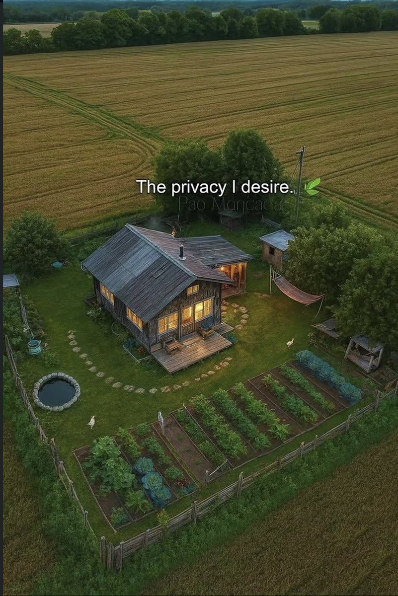 skye_mindset👽 tweet media