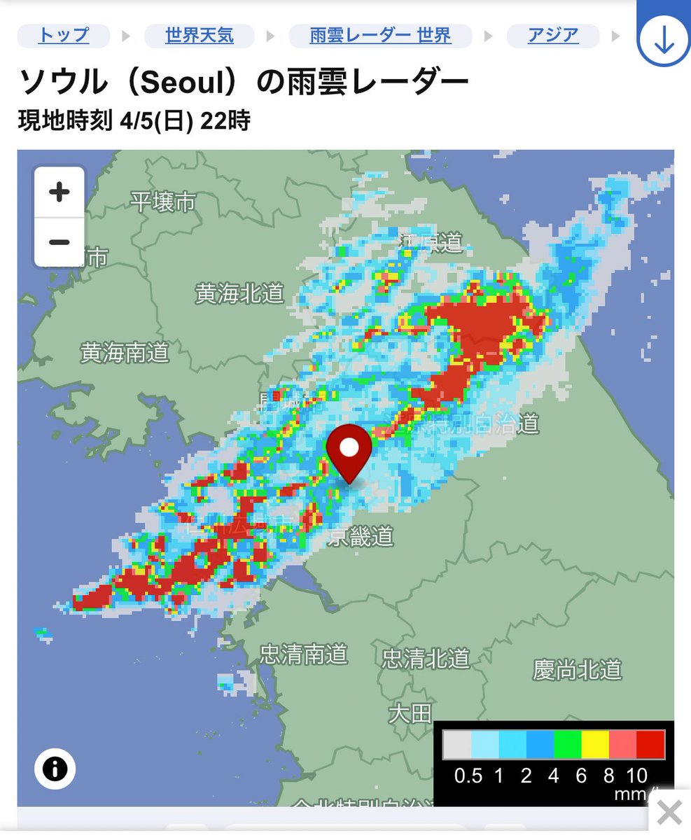 🎯🎯🎯ムチャモ🦢💜🌈🎯🎯🎯🧭🐰🐶🧭 tweet media
