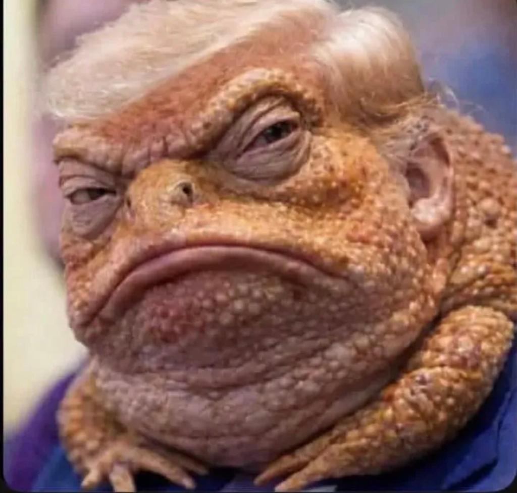 PitPad ☭ tweet media