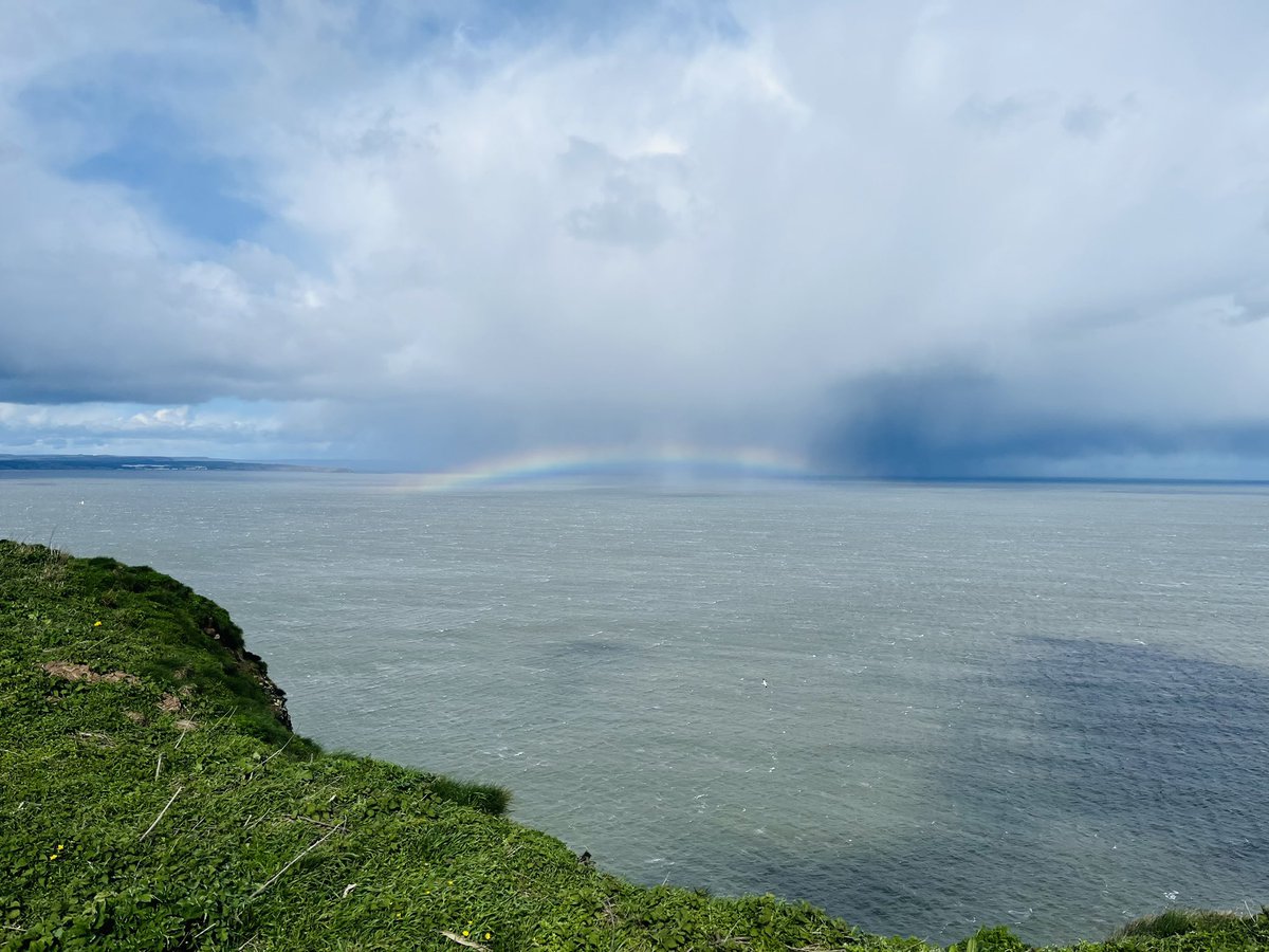 Adam Chard 🇺🇦 tweet media