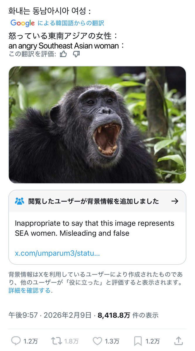 ひよこ tweet media