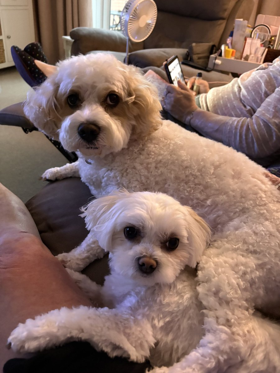 Exhausted Angel 🟣🪽🟢 tweet media