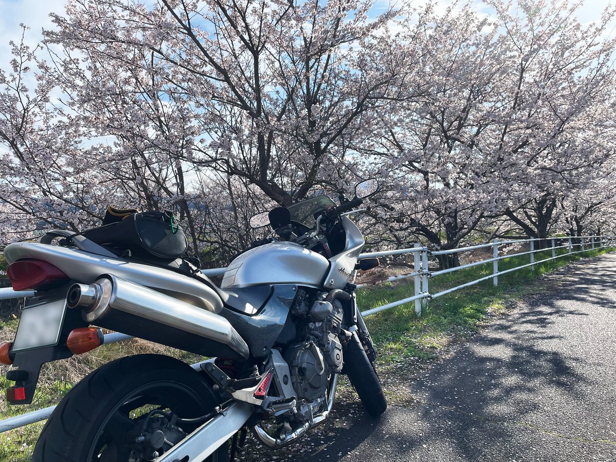 masas circle （京都在住　DTP・デザイナー） tweet media