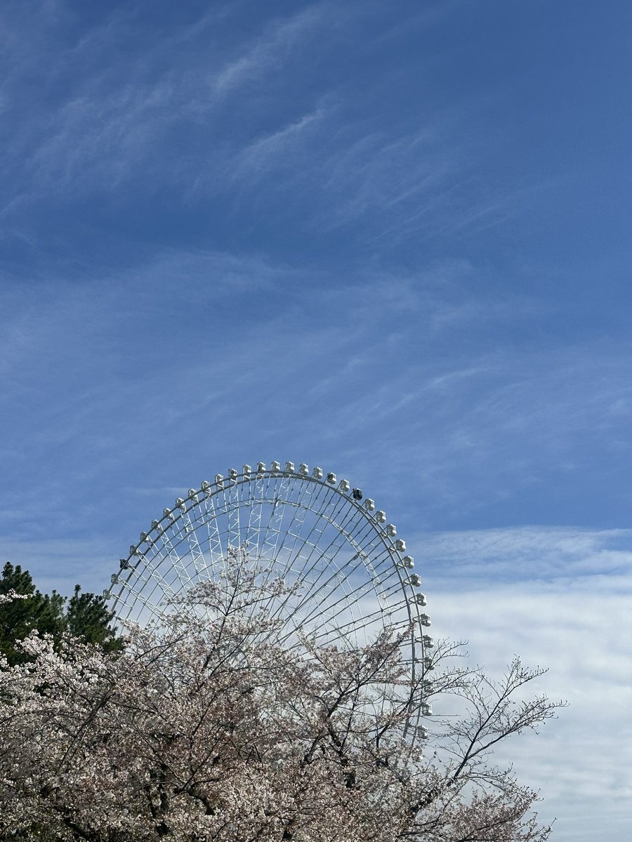 rippy1102's tweet photo. めっちゃ人が多かったですが、いい記念になりました。 https://t.co/O7eODnfv74