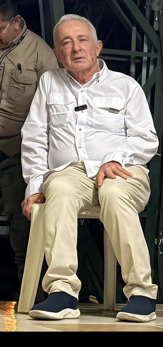 Yeyo Bermack tweet media