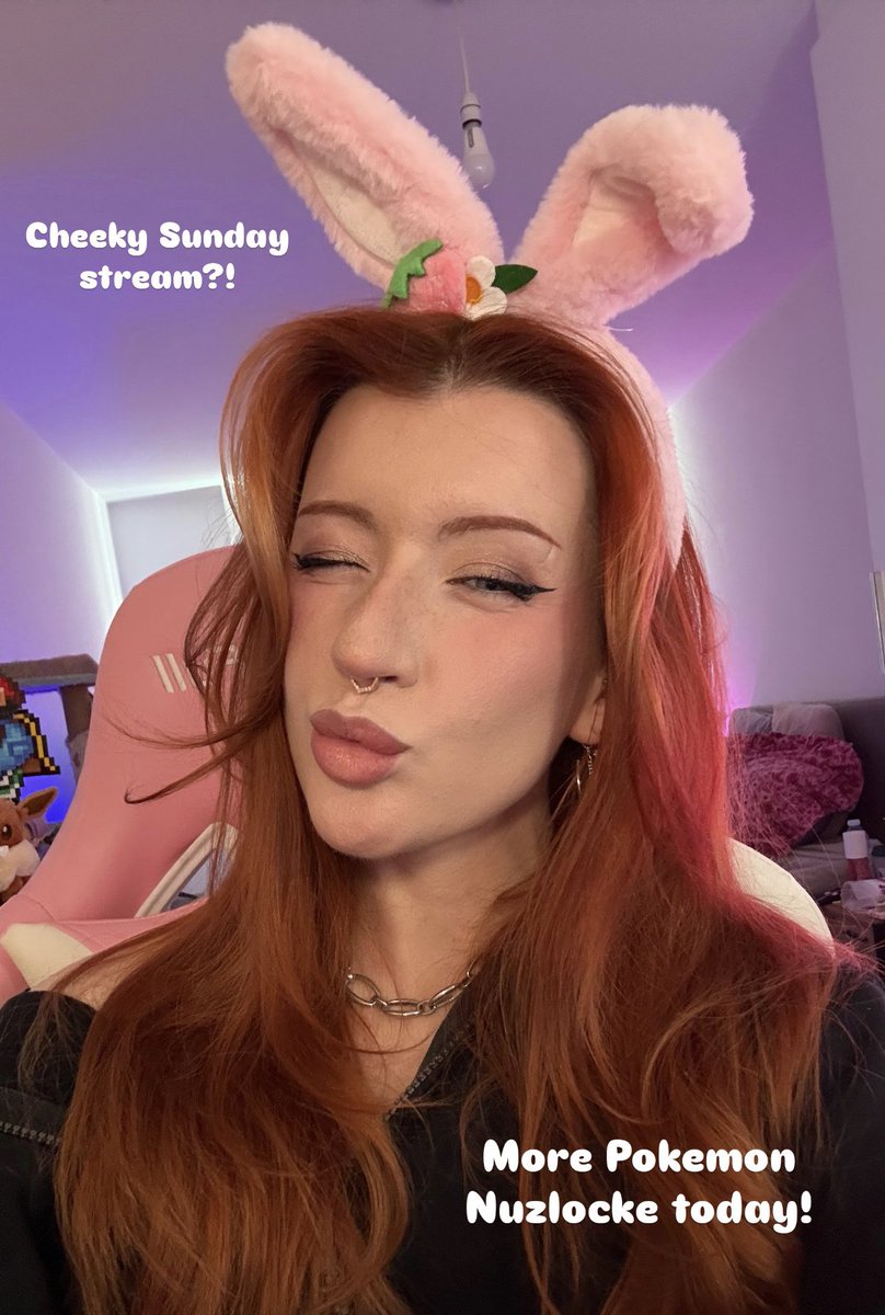 Cheebiez | Twitch Partner | Full time silly goose tweet media