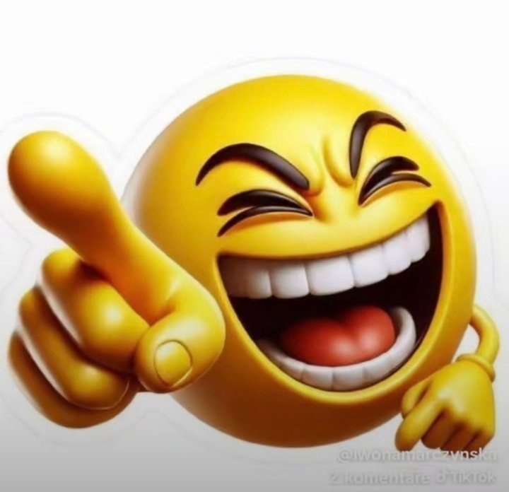 Yeyo Bermack tweet media