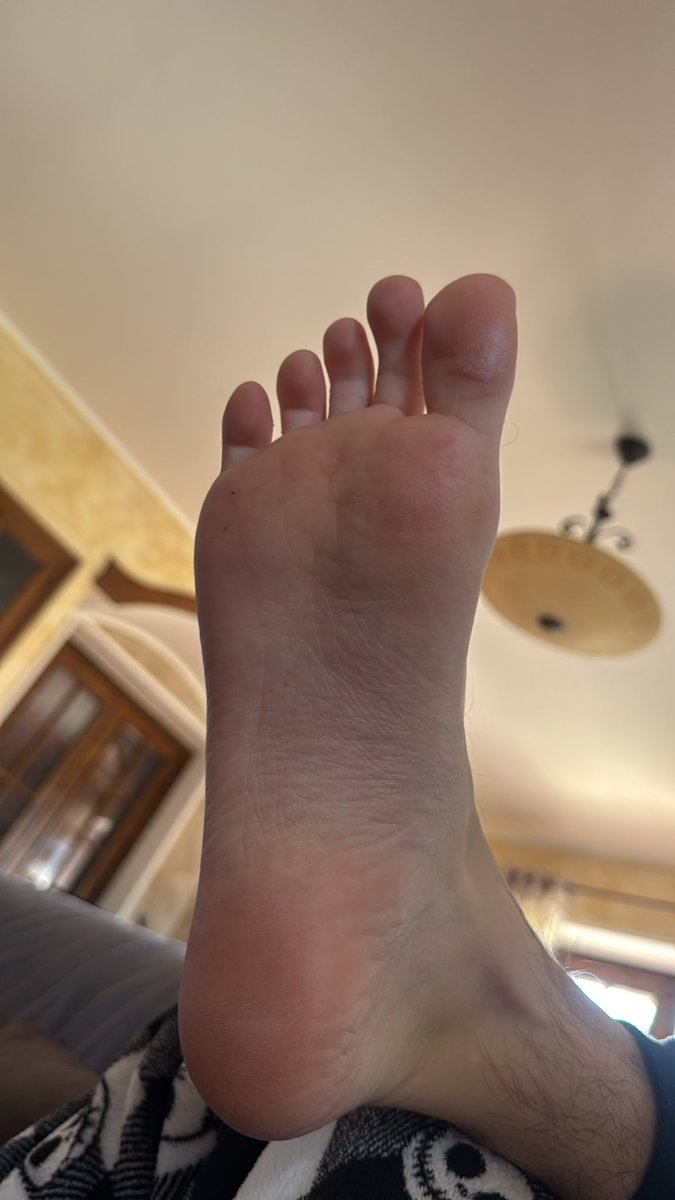 Master Luca tweet media