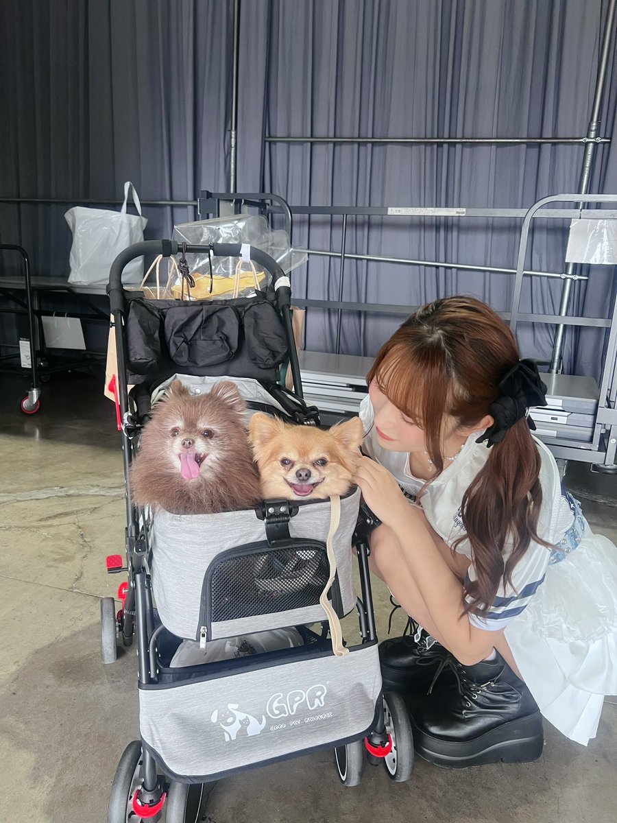 sayukulfiq's tweet photo. 第18回ペットカーニバル🐶🐾

２日間ありがとうございましたぁぁぁ！！！
今年も最高に楽しかったです（ ;  ; ）✨✨

来場された皆さんにとってもペットちゃんとの素敵な思い出になっていますように🪽🩵

来てくれたファンのみんなもありがとう☺️
インスタにも詳しく書きましたので見てみてね🎶 https://t.co/6zqidiYeUm