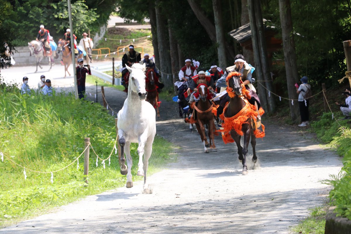相馬野馬追執行委員会【公式】🐴 tweet media