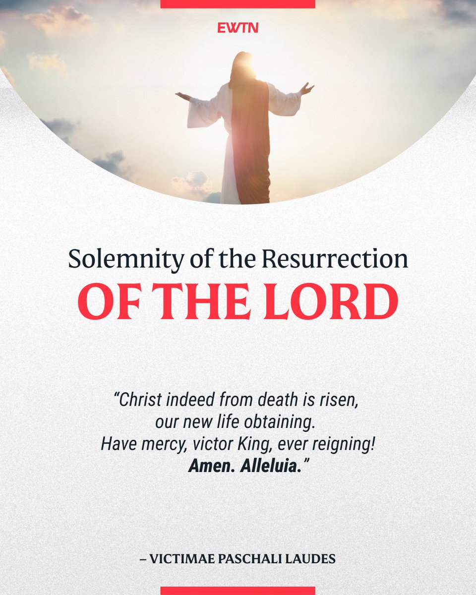 EWTN Global Catholic Network tweet media