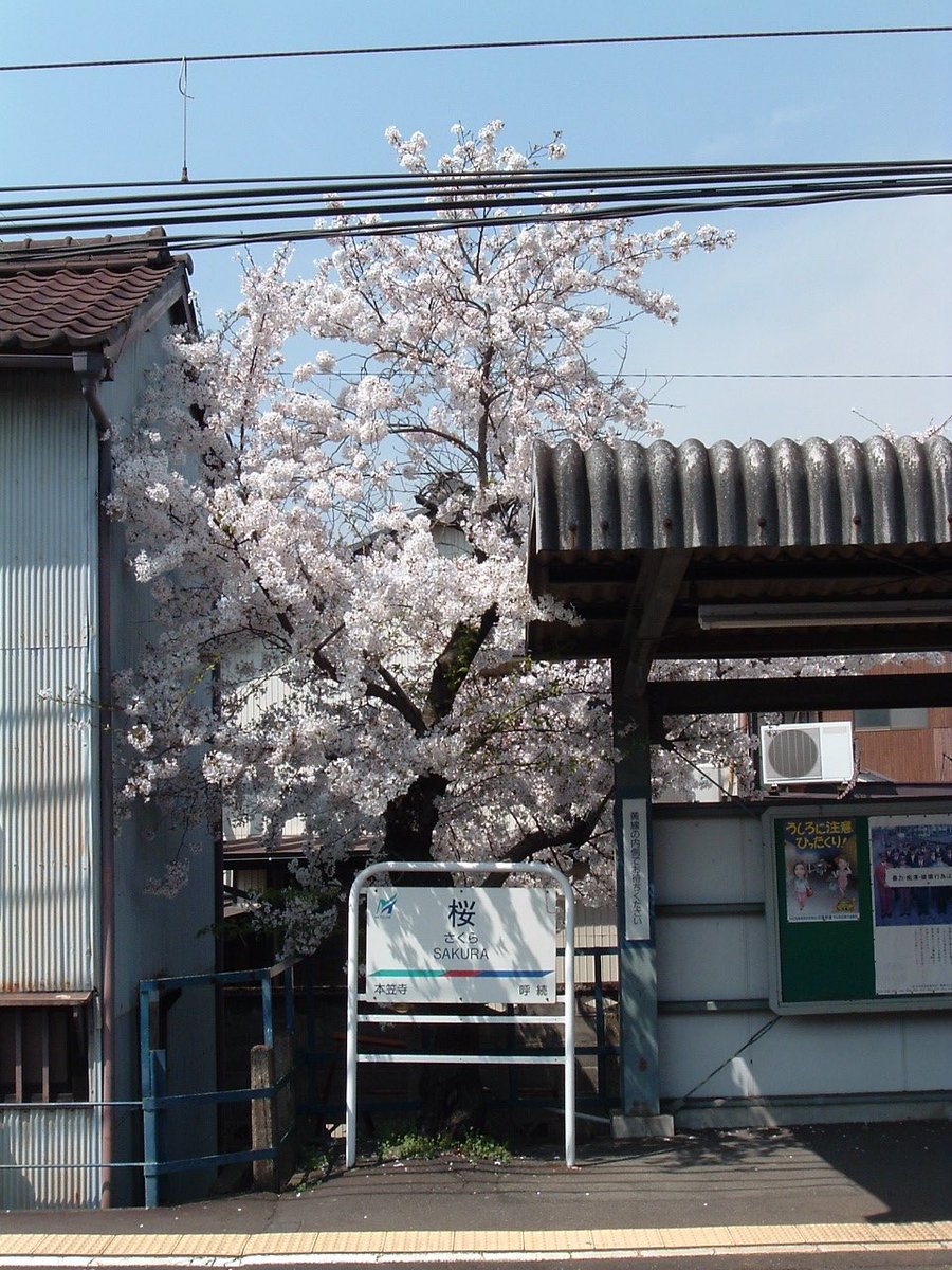 オオタニサンと太田胃散 tweet media