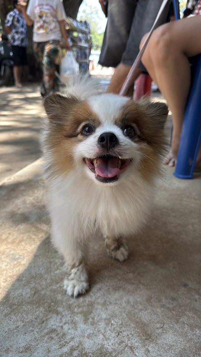 DNVP 💋 (Malonfamily) tweet media