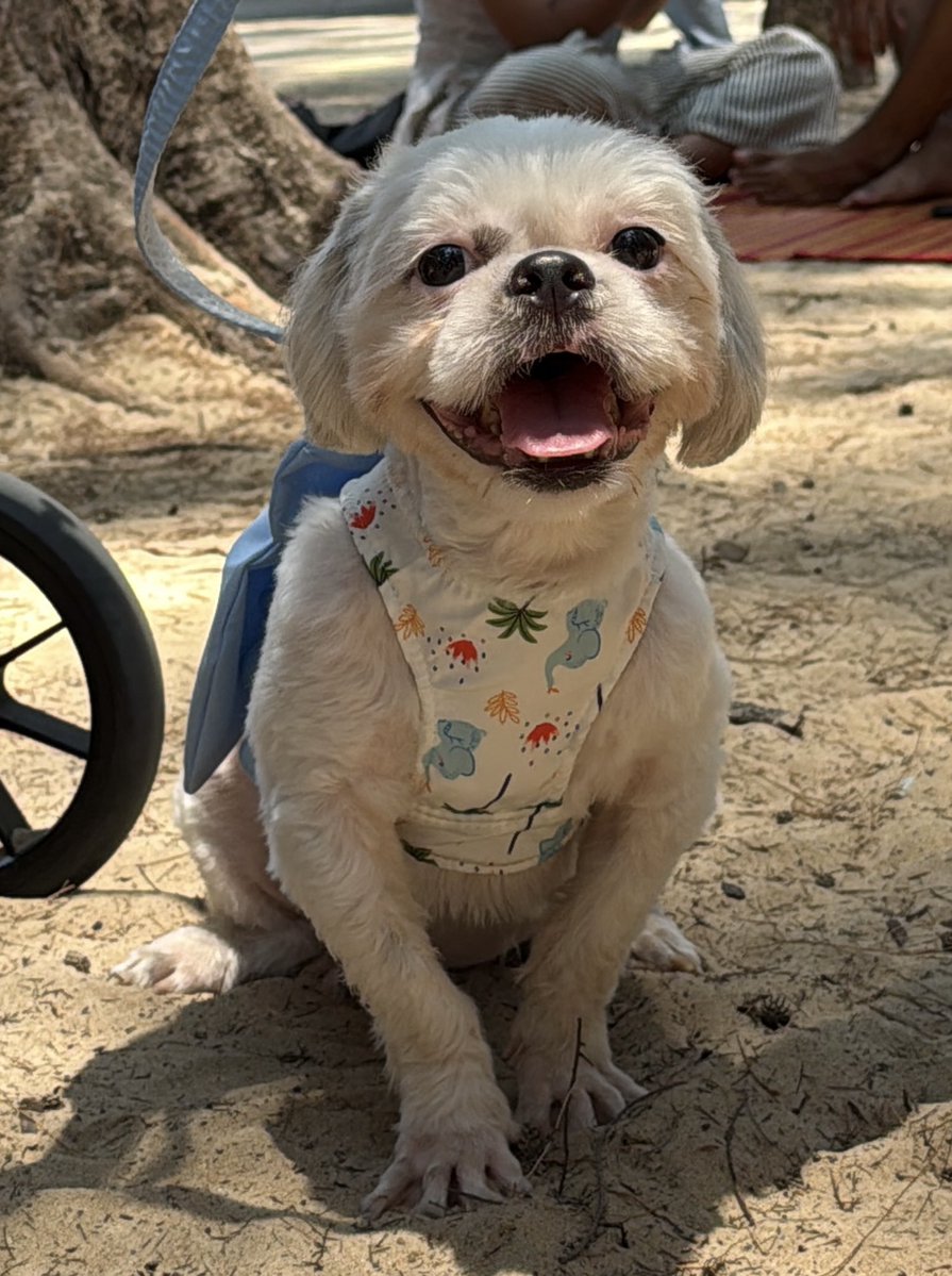 DNVP 💋 (Malonfamily) tweet media