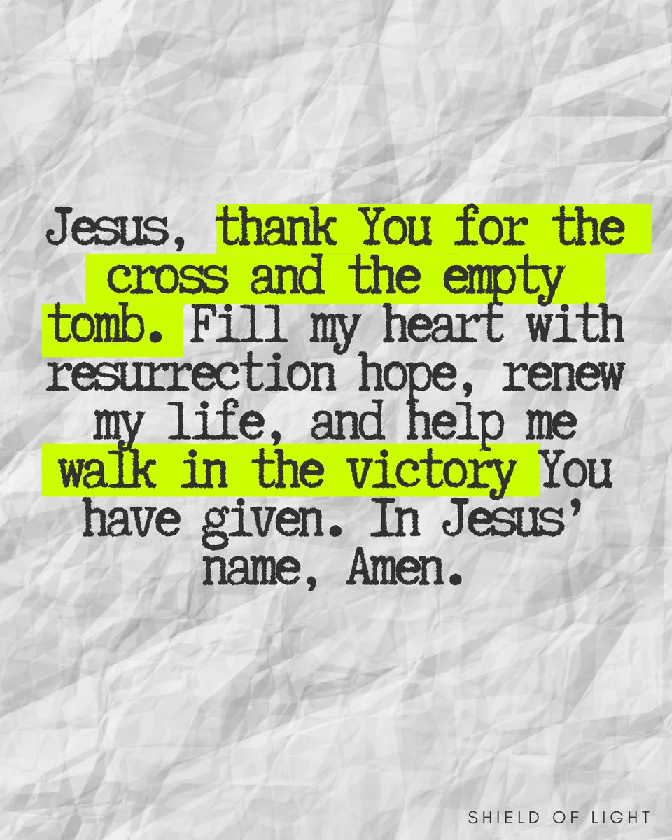 The Shield of Light tweet media